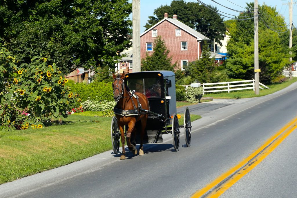 Sharing the road with a horse and buggy