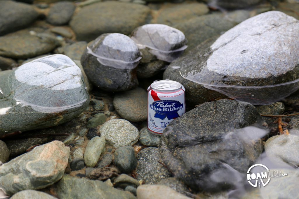 The Last of the PBRs chilling in the creek.  We just had to sit by the creek and chill with the beer until it was cool and we were cool and everything was cool. Creeks beat refrigerators any day of the week.