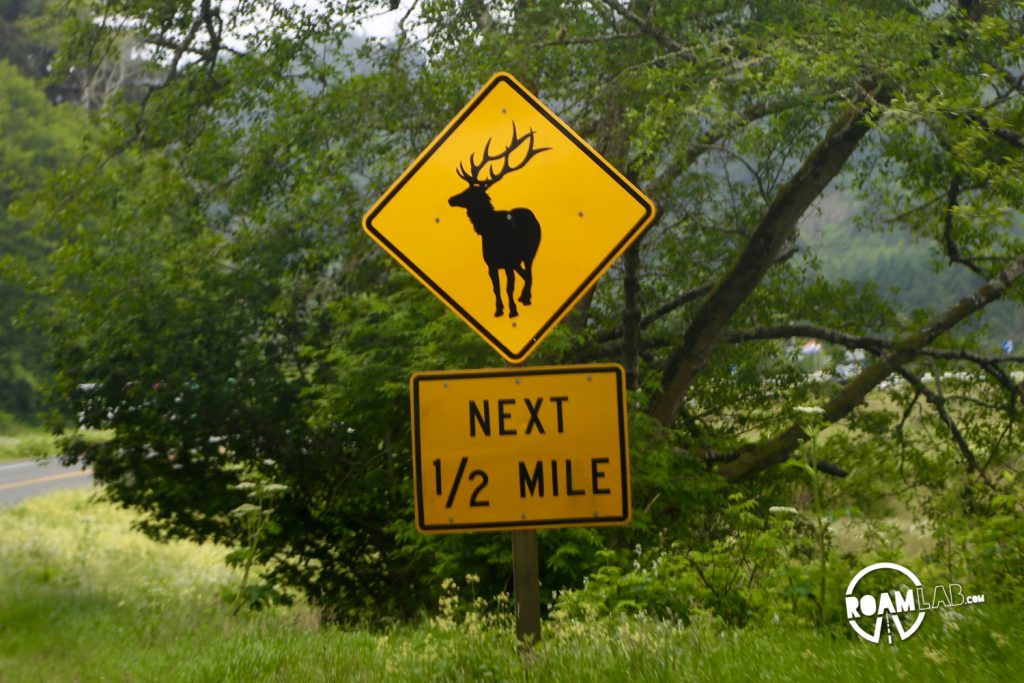 The infamous elk crossing sign.