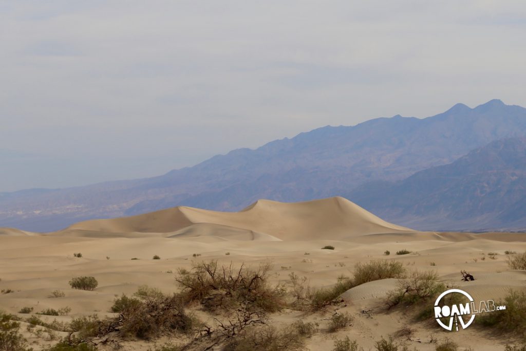 Sand dunes spread out along the mountain range in Death Valley.