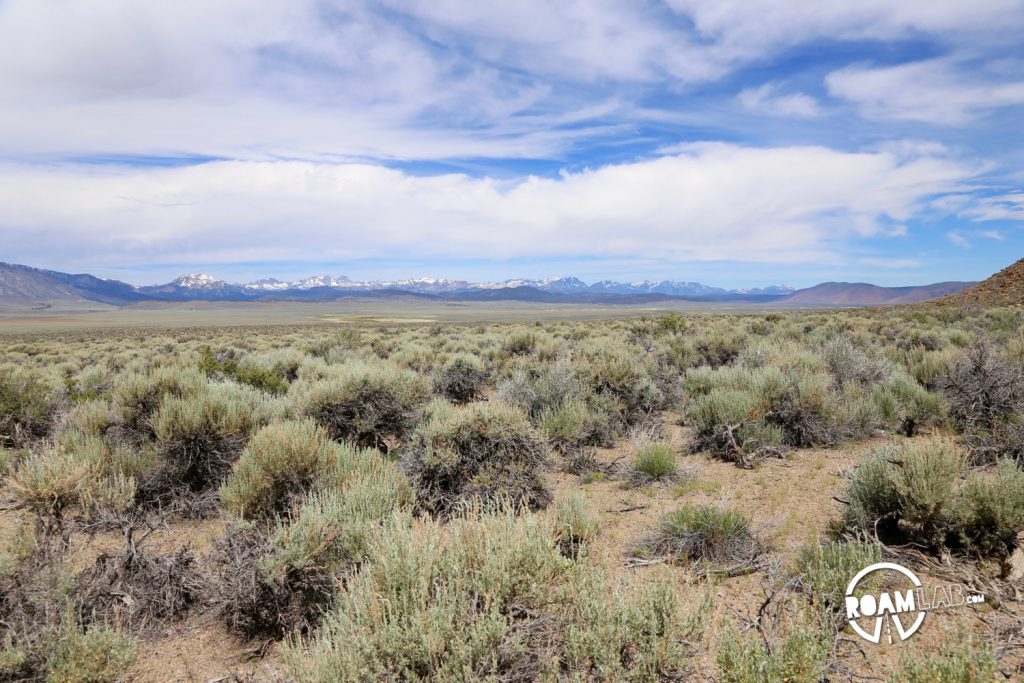 A seemingly endless sea of brush stretches out. There is a lake but there is quite a bit of dirt road in between.