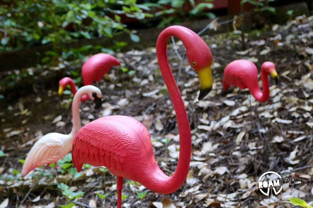 Pink Flamingos: the universal sign of quality.