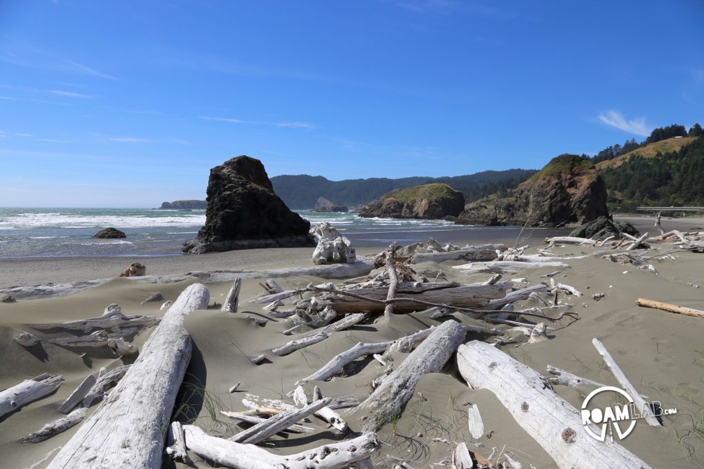 Driftwood washed ashore along the Oregon Coast.