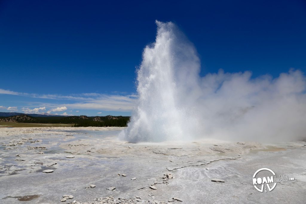 Fountain Geyser is a relatively predictable geyser in the Fountain Paint Pots thermal area which can erupt up to 80 feet and last for 30 minutes.