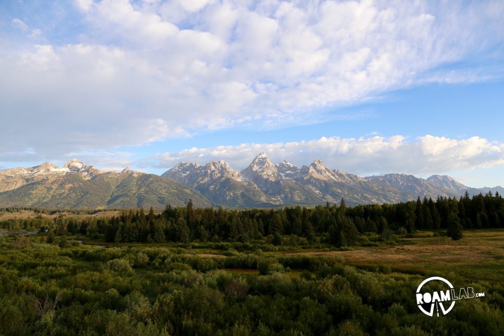With the sun fully up, the Tetons are set against marshy wetlands.