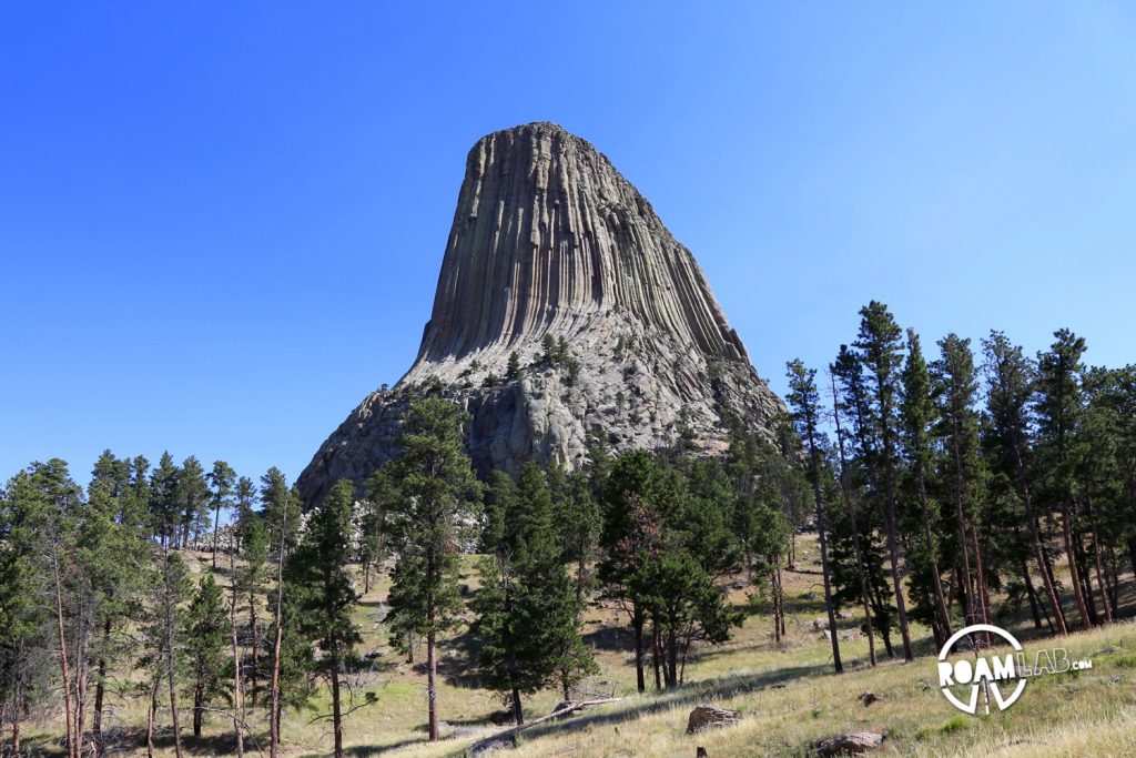 A common perspective of devils tower, partially obscured by trees. Many of the trees along the path were dead, such as those on the left of the picture.
