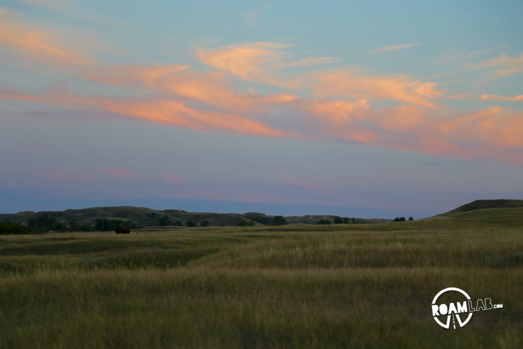 Sunset view from our camping spot over the prairie. To the distant left, you can see a buffalo grazing.