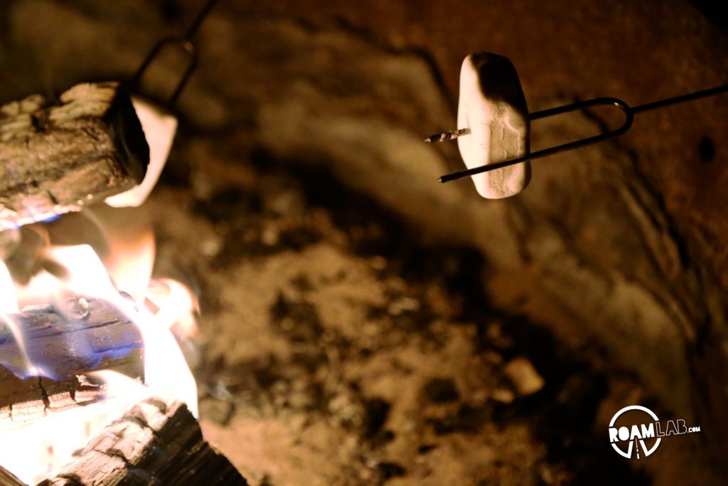 Roasting marshmallows over a fire pit