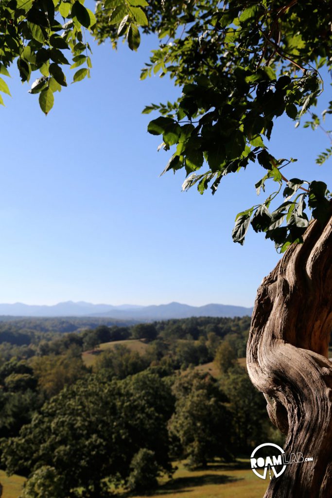 Frederick Law Olmsted, renowned landscape architect from projects such as Central Park in New York City, took on the Biltmore's exterior, with manicured wilderness giving way to full forests.