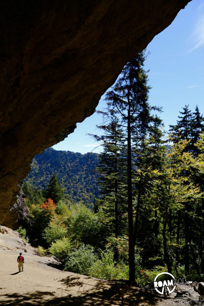 View from under the rock overhang known as Alum Cave in the Great Smoky Mountains National Park.