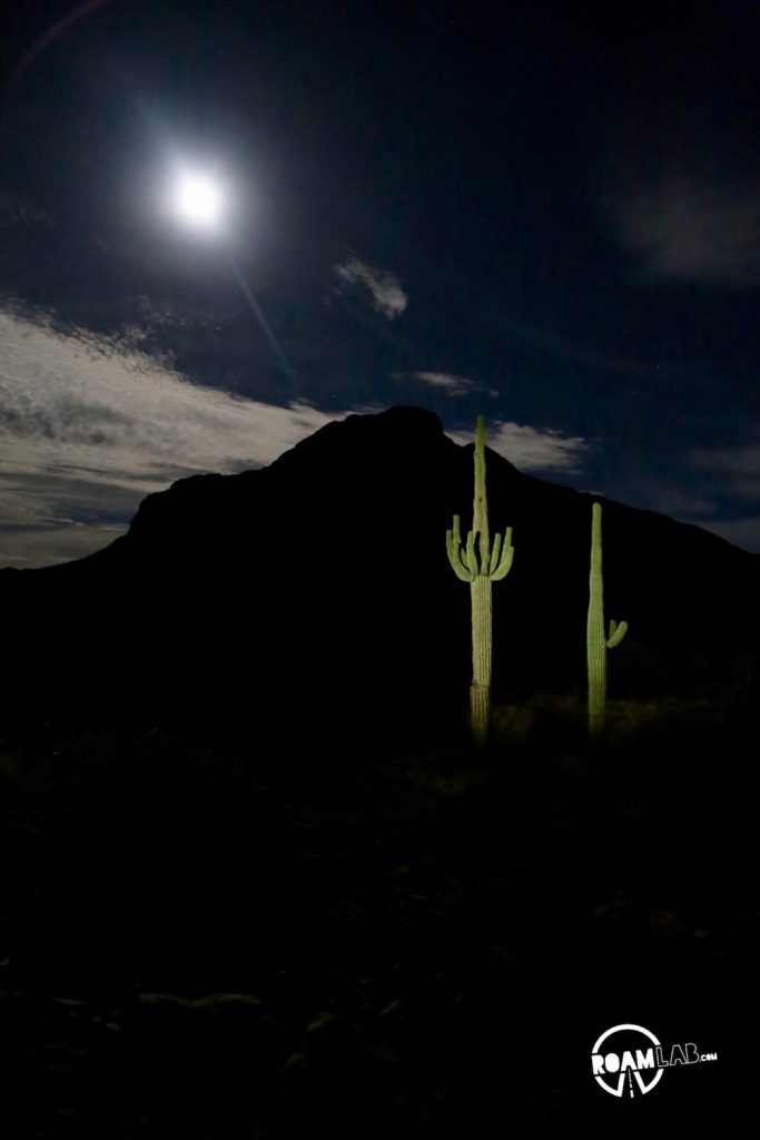 As the day wound down, it was again time to find a place to stay.  This time, though, we had enough time for some proper camping, so we drove into the KOFA National Wildlife Refuge.  This empty swath of Arizona desert sported an exquisite range of mountains and a valley all to ourselves.  It's these remote sites that spurred us to invest in a vehicle with 4-wheel drive.  Oh, is it worth it!