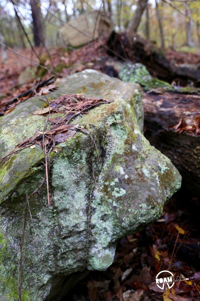 Very little of Rocky Springs has been left standing aside from the old church, a few gravestones, and two safes. Cholera, erosion, and the Civil War devastated this once prosperous farming community along the Natchez Trace.  The heavy, grey skies only added to the eery ambiance as we explored the remains.