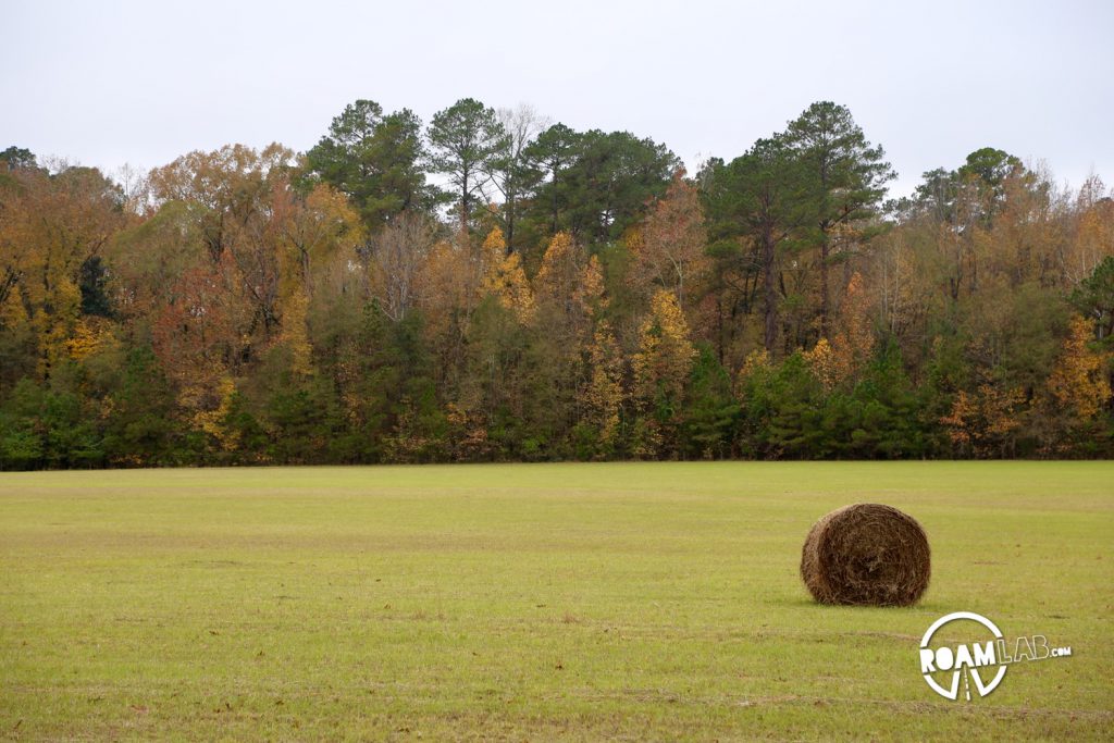 Mount Locust Inn is one of the few remaining stands along the Natchez Trace.