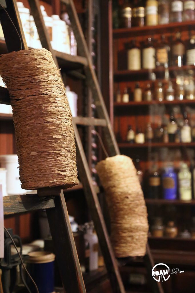 New Orleans Pharmacy Museum explores the history of medicine from leeches to voodoo and everything in between.