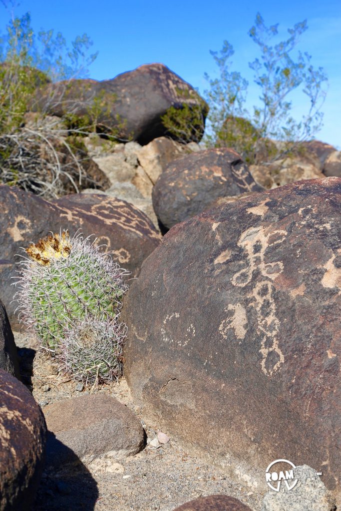 Painted Rock Petroglyph Site is barely off highway 8 and a delightful break from the road.