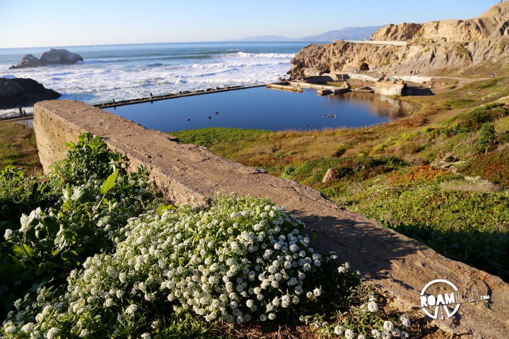 Sutro is a name that can be found across San Francisco but it is most notable in the sunset district where Ozymandias-like ruins of the mining tycoon are now overwhelmed by the natural beauty of the Pacific Coast.