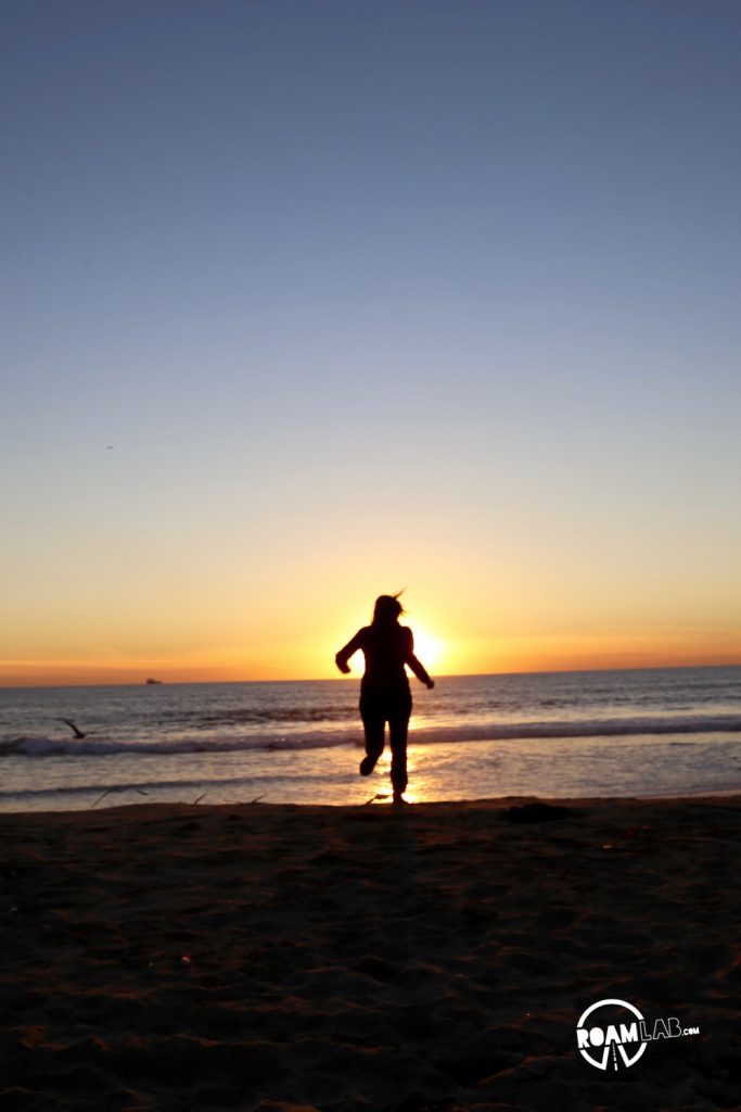 In which we kill time chasing sea gulls and photographing seashells at Dockweiler State Beach.