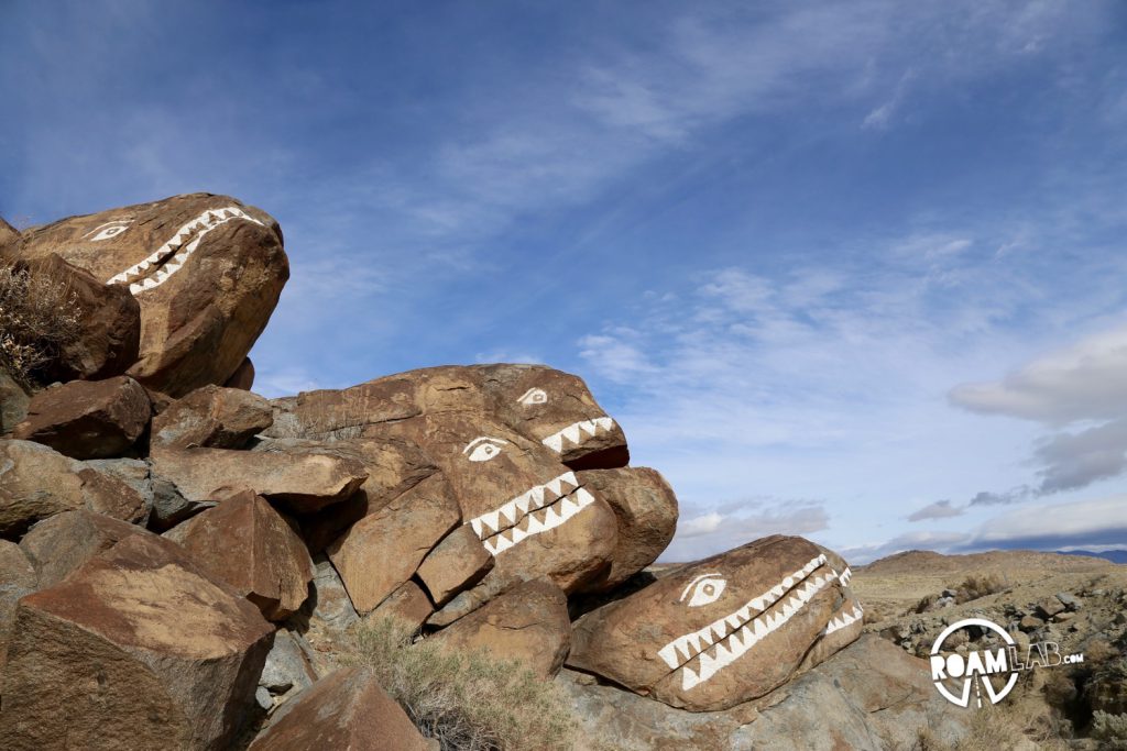 Spotted along the road to Death Valley