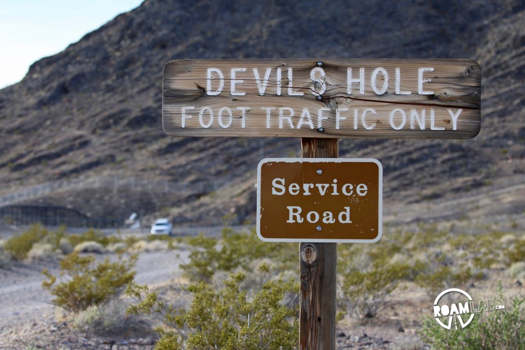 Devils Hole is one of the most fascinating but commonly overlooked natural features in the world for so many reasons. But it seems like only scientists and drunks pay it much head.