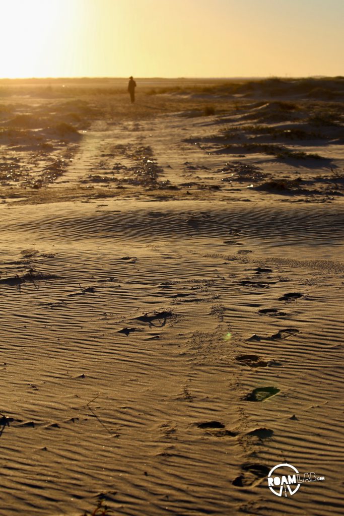 Very little of South Padre island is developed. The rest is rolling sand dunes for the crabs and clams and birds.