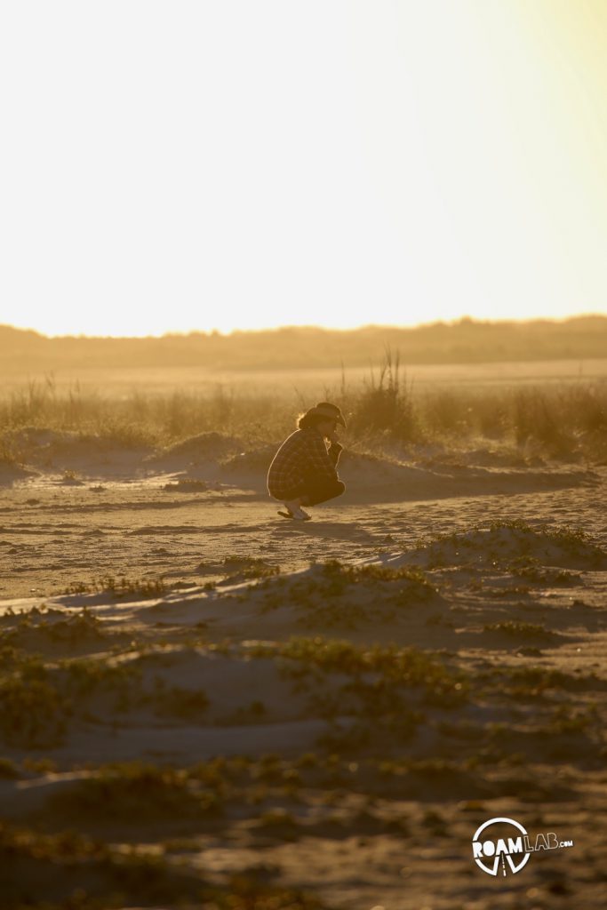 Very little of South Padre island is developed. The rest is rolling sand dunes for the crabs and clams and birds.