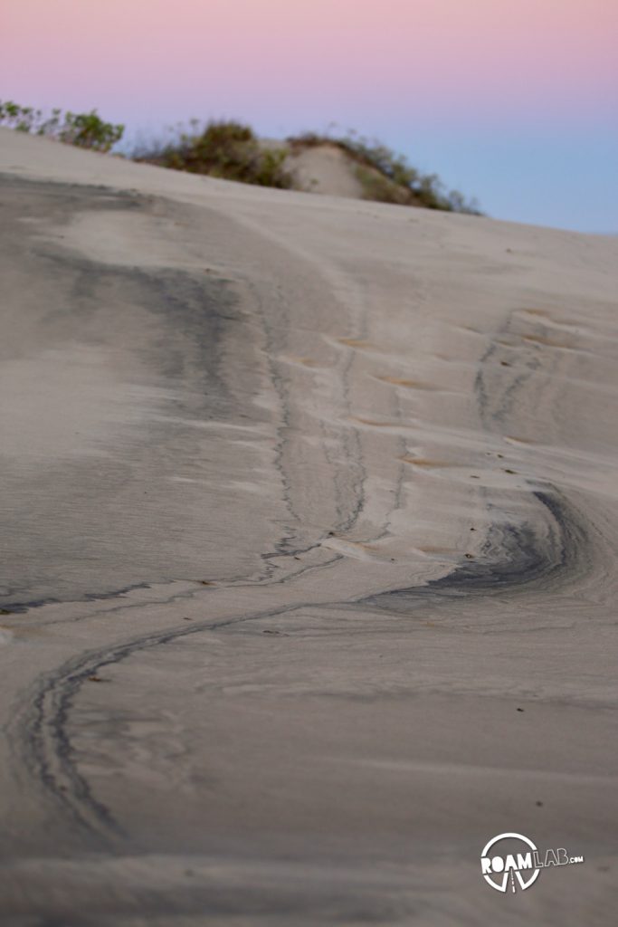 Very little of South Padre island is developed. The rest is rolling sand dunes for the crabs and clams and birds.