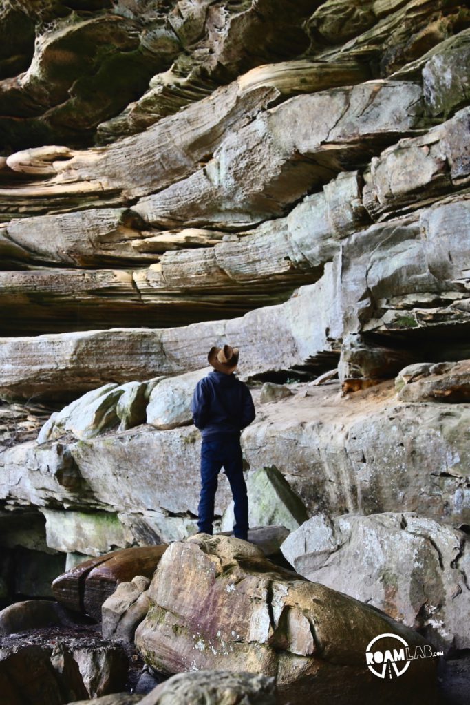 We are visiting Big South Fork National River and Recreation Area, straddling the Tennessee and Kentucky border for a weekend of camping, cooking, and hiking with friends.