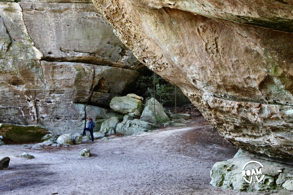 We are visiting Big South Fork National River and Recreation Area, straddling the Tennessee and Kentucky border for a weekend of camping, cooking, and hiking with friends.