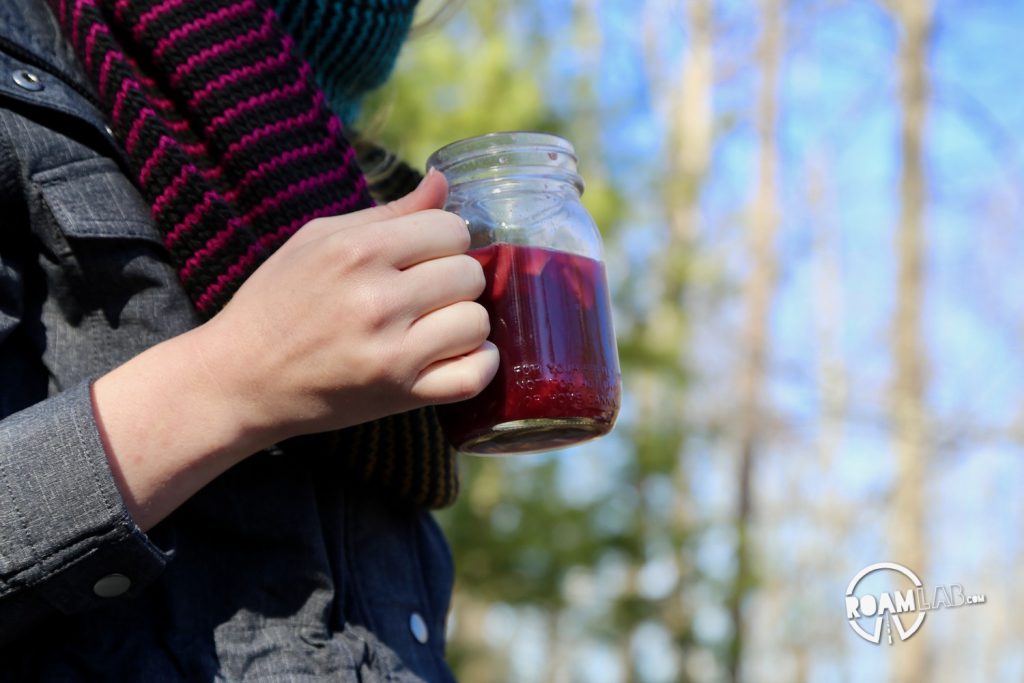 Camp-Punk Sangria is the cocktail recipe for those that would bend over backwards to buck tradition.  Even if that means mixing Mello Yellow with wine.