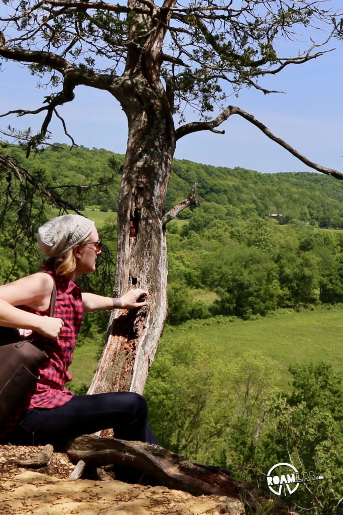 Harpeth River State Park is composed of an archipelago of public islands in a sea of private land. Hiking to the top of the Harpeth River Narrows reveals miles of emerald green farm land as far as the eye can see.