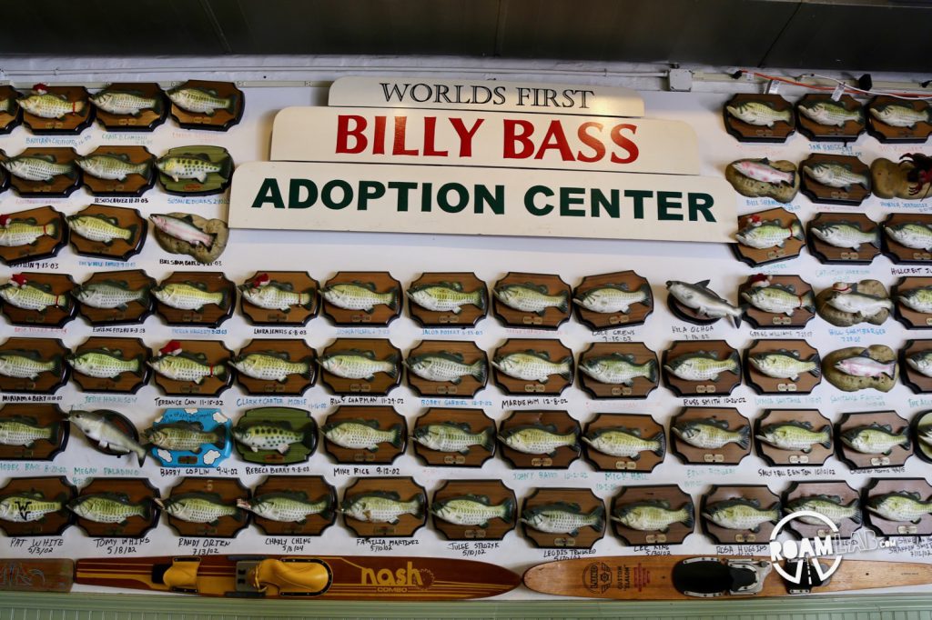Billy Bass Adoption Center