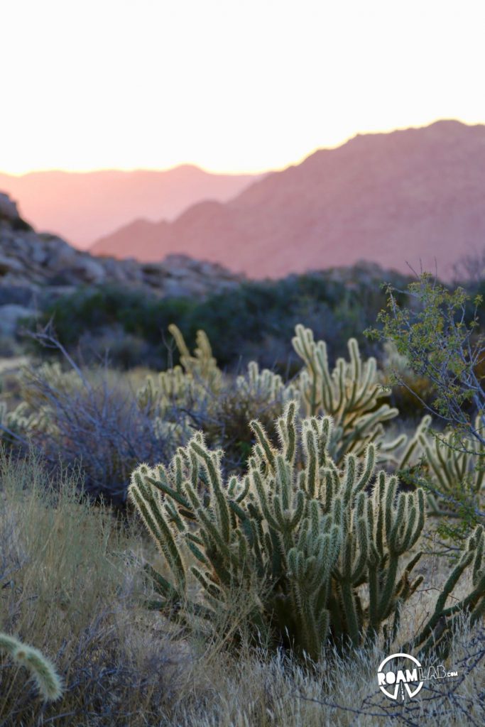 Shades of dawn in the Anza-Borrego Desert State Park.