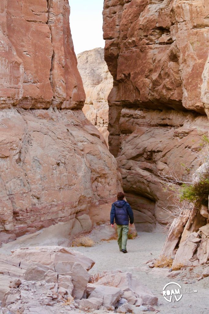 Exploring the Palm Slot Canyon in Anza-Borrego Desert State Park