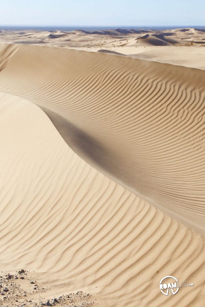 Windswept sands of the Imperial Sand Dunes Recreation Area