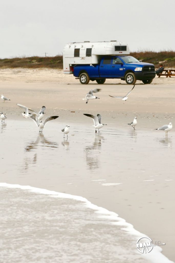Surf, gulls, and the Avion along Surfside Beach, Texas