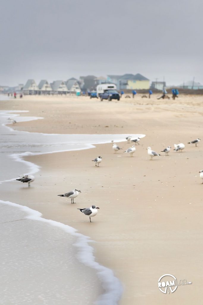  Surfside Beach, Texas