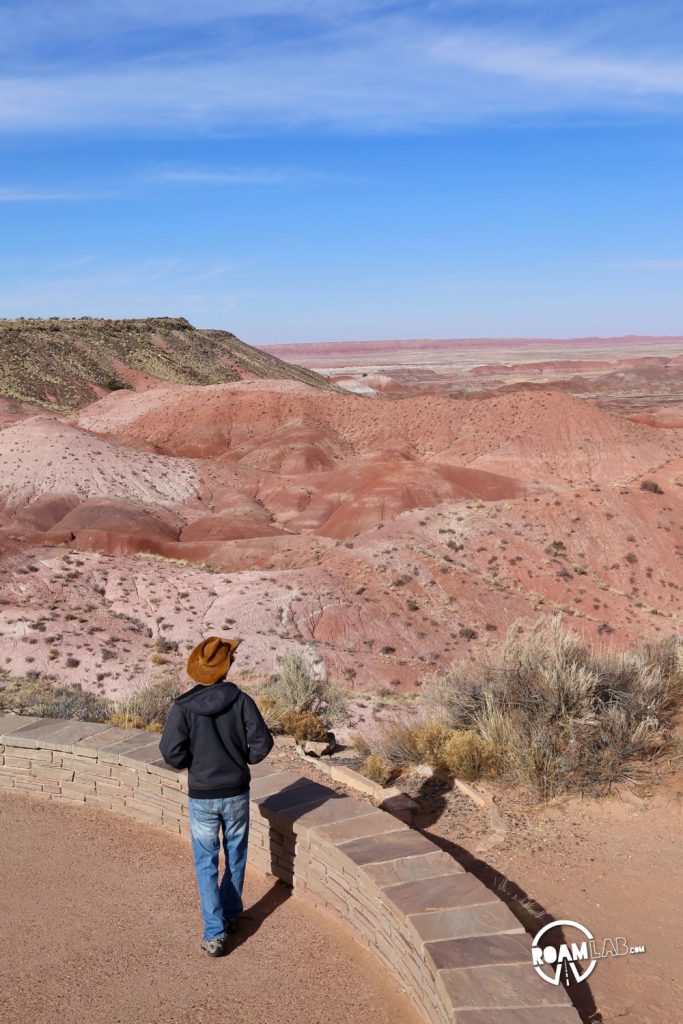 Painted Landscapes, Petroglyphs, And An Ancient Rainforest In Petrified Forest National Park