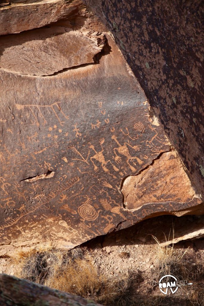 Painted Landscapes, Petroglyphs, And An Ancient Rainforest In Petrified Forest National Park