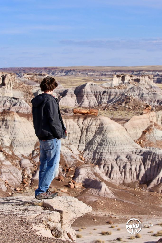 Painted Landscapes, Petroglyphs, And An Ancient Rainforest In Petrified Forest National Park