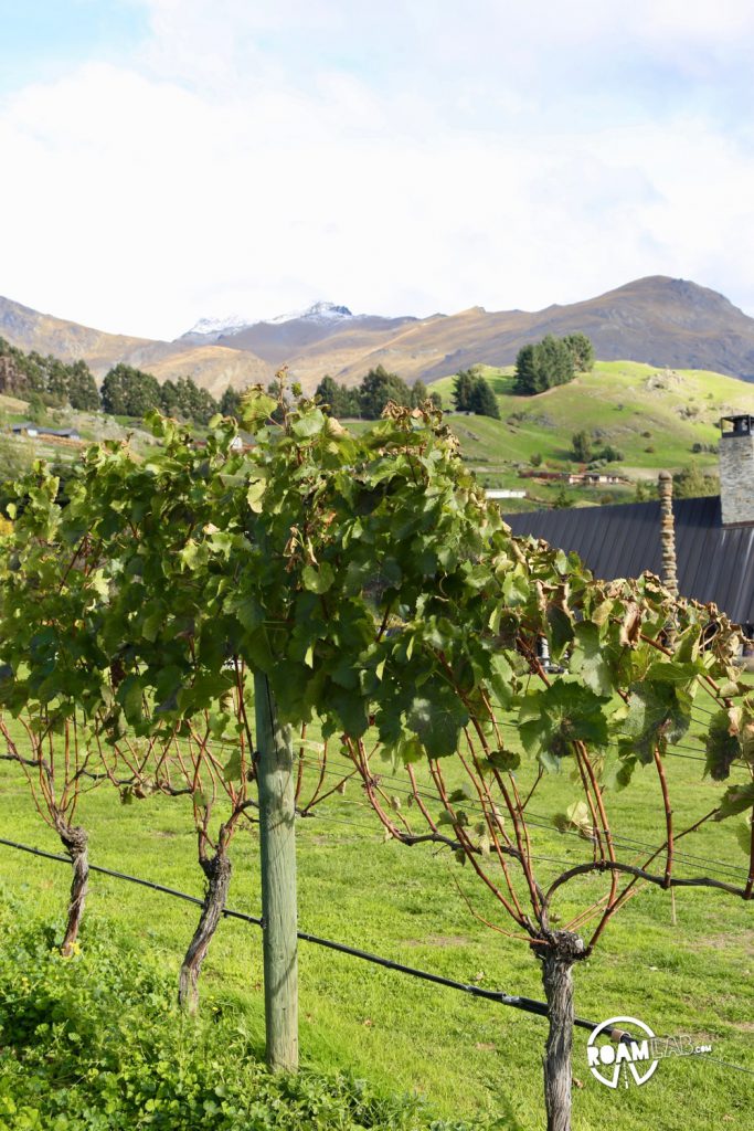 Exploring the back roads to Skipper's Canyon, lunch on the the lake, and wine tasting pinot noir around Queenstown, New Zealand