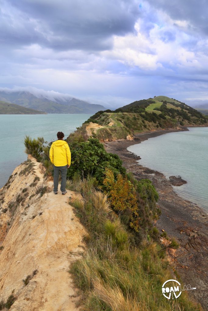 Driving to Christchurch to tramp (hike) the Onawe Track along the Onawe Peninsula between Barrys Bay and Duvauchelle Bay on New Zealand's South Island.