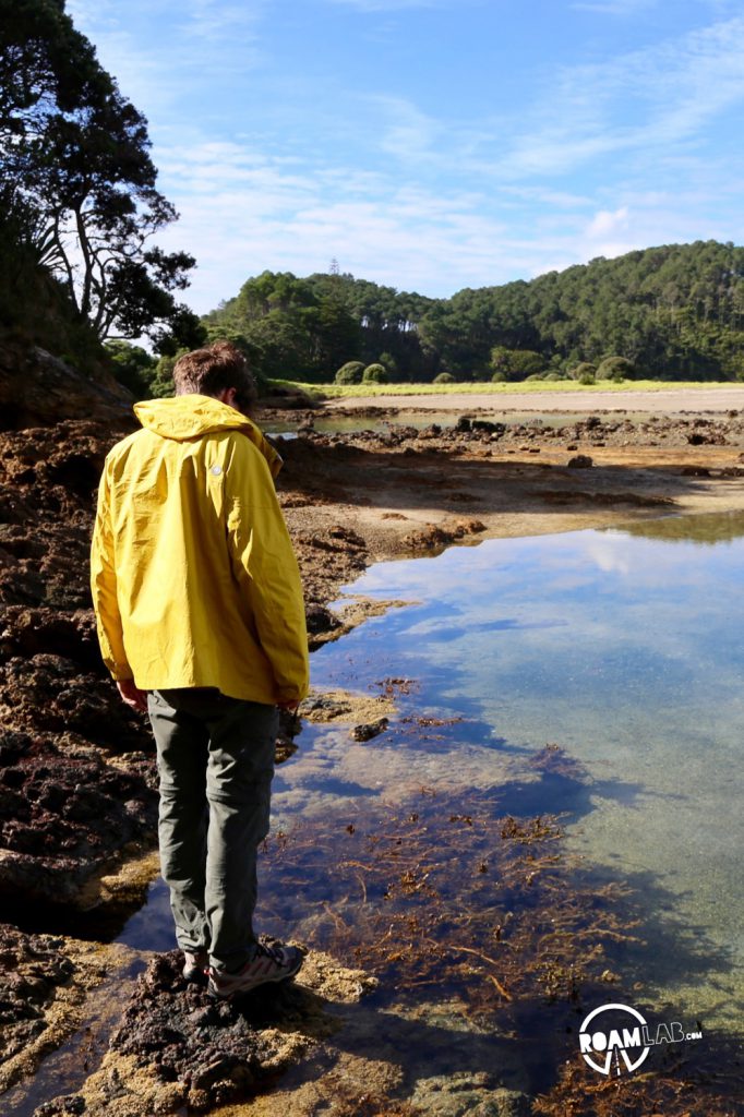 Day one in the Bay of Islands, anchored off of Motuarohia Island where we hike the Motuarohia (Roberton) Island Track and provision in Russel, New Zealand.