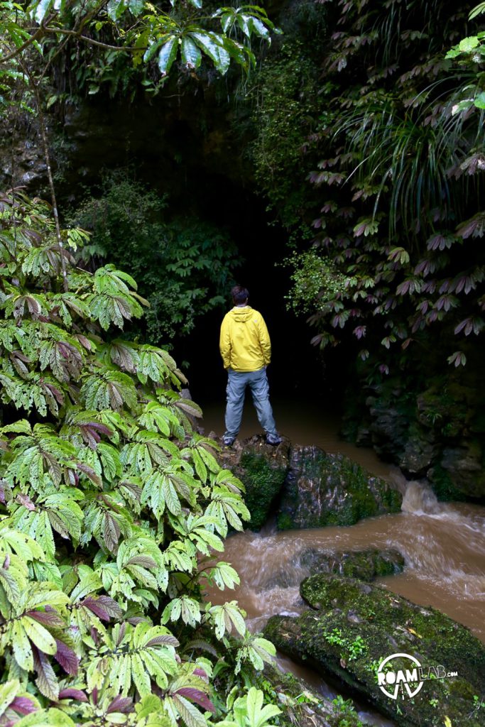 A massive gale makes little difference as we tube through New Zealand's famous Waitomo Glowworm Caves. When we are done, so is the storm in time for a hike.