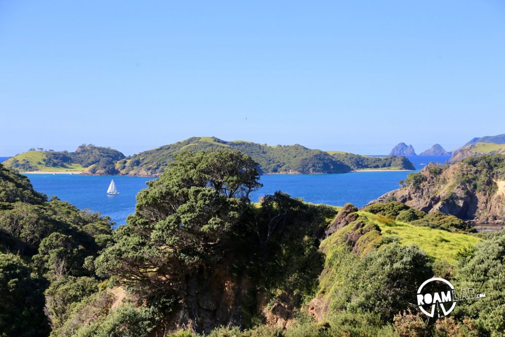 In which we return to Army Bay and finally photograph parrots while tramping the Moturua Island Track in the Moturua Island Scenic Reserve.