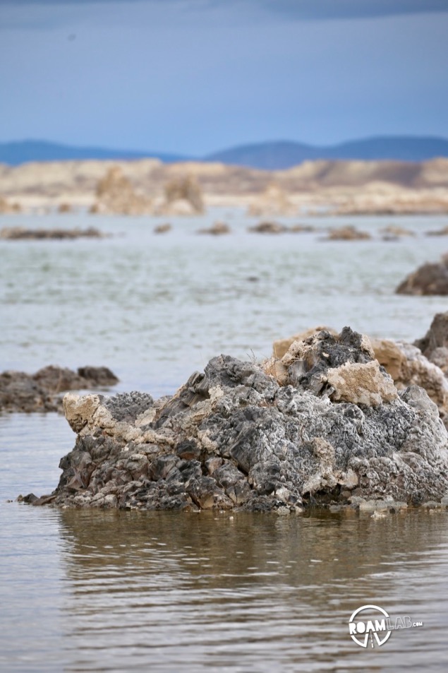 Buildups of calcium carbonate minerals form the limestone towers characteristic of Lake Mono and a product of the alkaline water.