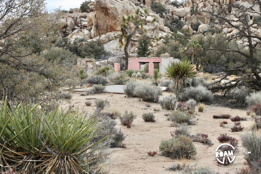 Joshua Tree may be a National Park today, but, back in the day, cattle roamed the scrub brush and miners wandered in search of gold.  This history 