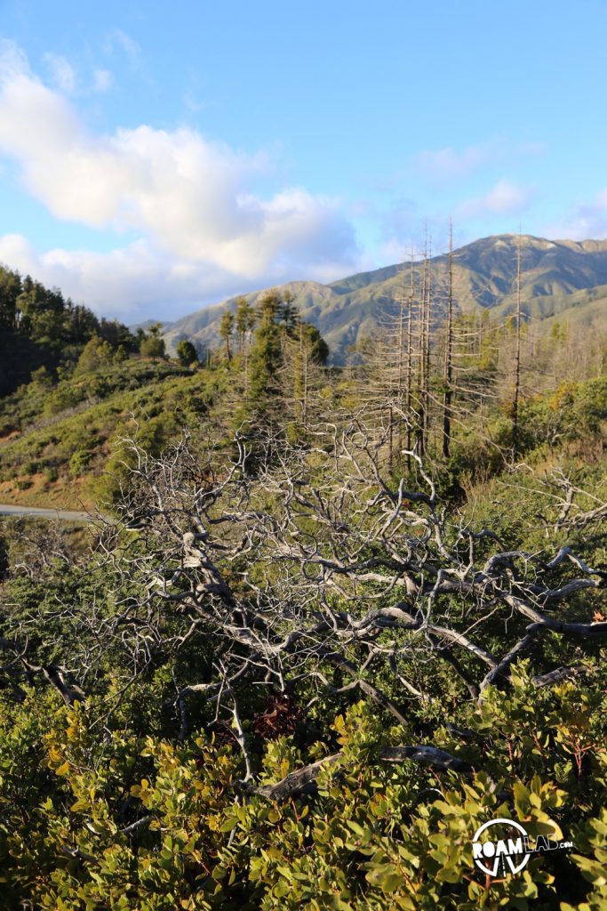 Buzzard's Roost hiking trail is a 3-mile loop trail following the Big Sur River, up shady redwood slopes, for brilliant sunset views of the Pacific Ocean.