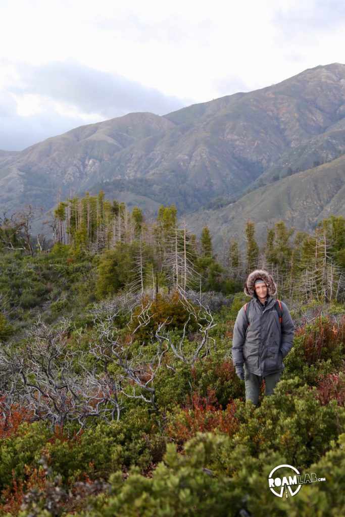 Buzzard's Roost hiking trail is a 3-mile loop trail following the Big Sur River, up shady redwood slopes, for brilliant sunset views of the Pacific Ocean.