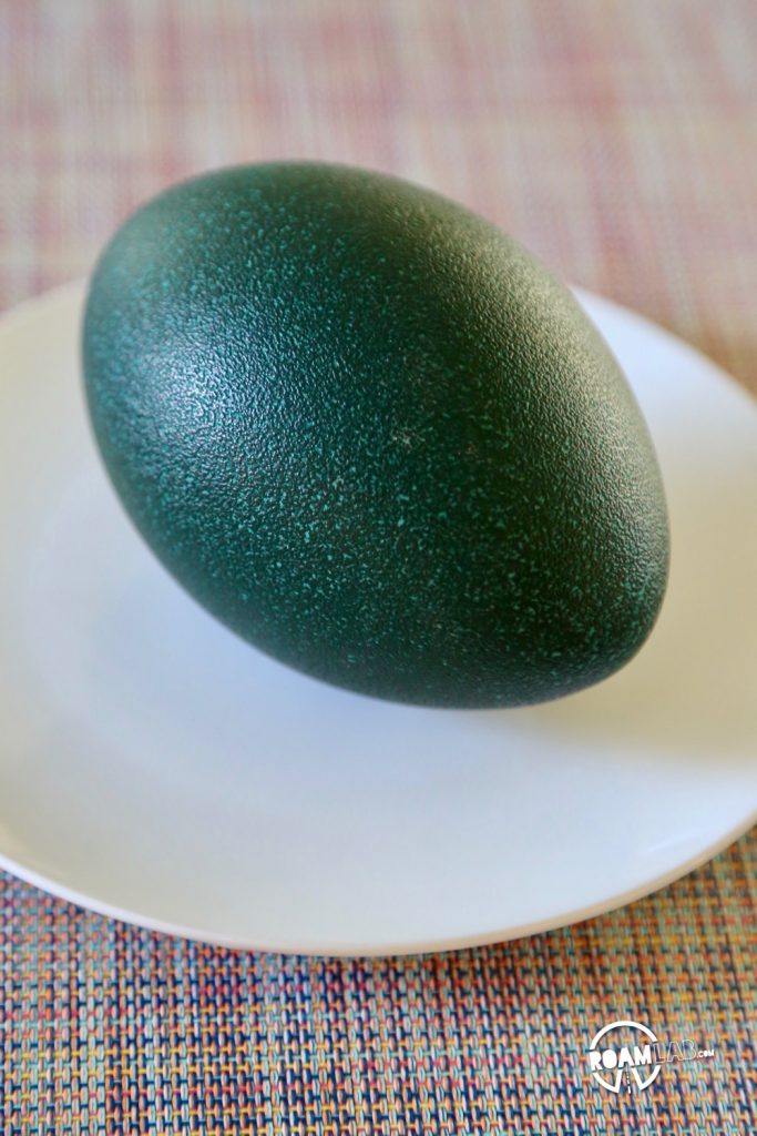 An emu egg can feed between four and six people. We picked one up at OstrichLand USA to make an emu egg omelette for our next host.