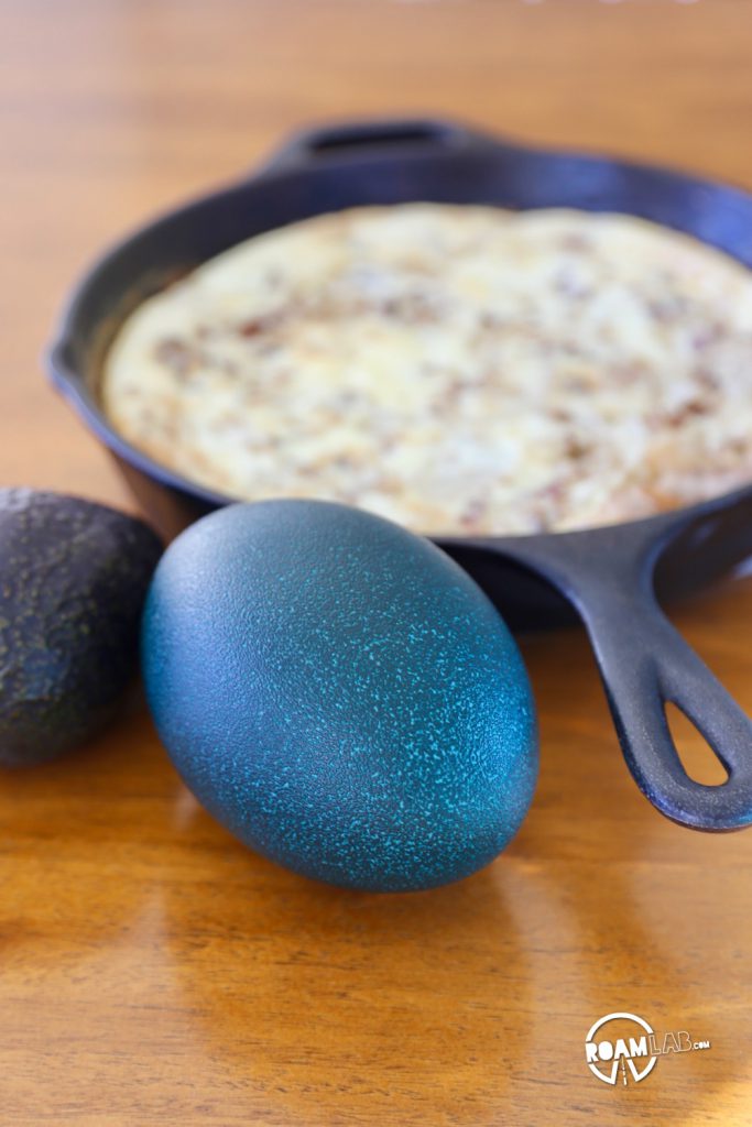 An emu egg can feed between four and six people. We picked one up at OstrichLand USA to make an emu egg omelette for our next host.